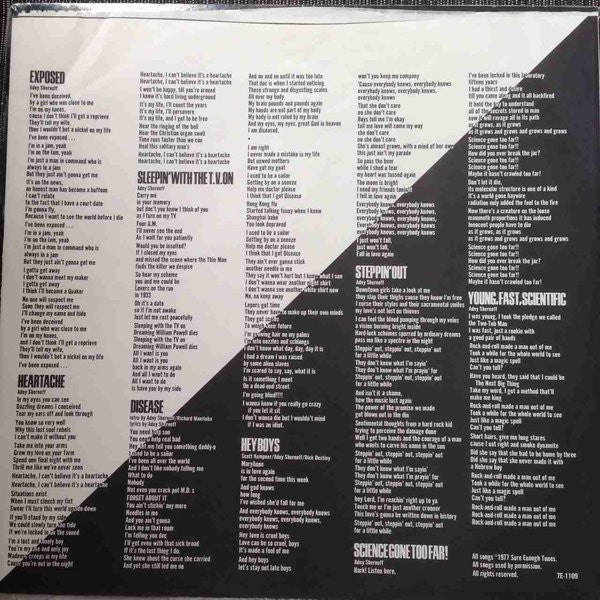 The Dictators – Manifest Destiny LP vinyl record, image 3 of 6