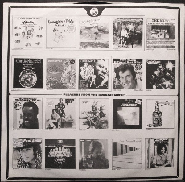The Charlie Daniels Band – Fire On The Mountain LP vinyl record, image 8 of 10