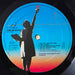 Supertramp – Breakfast In America LP vinyl record, image 4 of 10