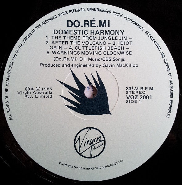 Do-Ré-Mi – Domestic Harmony LP vinyl record, image 5 of 6