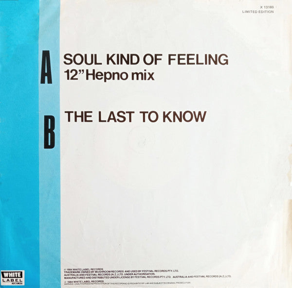 The Dynamic Hepnotics – Soul Kind Of Feeling 12" vinyl record, image 2 of 4