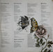 Kate Bush – Never For Ever LP vinyl record, image 3 of 8