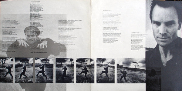 Sting – The Dream Of The Blue Turtles LP vinyl record, image 5 of 6