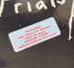 The Witch Trials – The Witch Trials 12" vinyl record, image 2 of 6