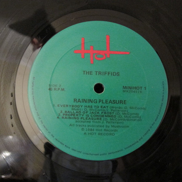 The Triffids – Raining Pleasure 12" vinyl record, image 6 of 6
