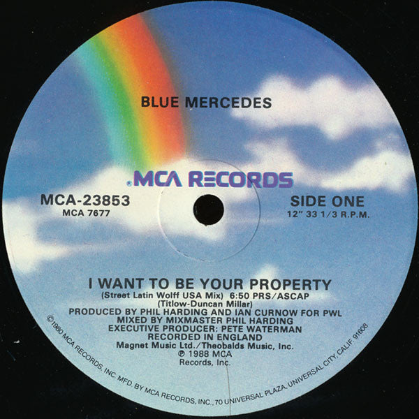 Blue Mercedes – I Want To Be Your Property 12" vinyl record, image 2 of 3