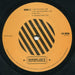 Shawn Lee's Ping Pong Orchestra – Voices And Choices (2xLP) LP vinyl record, image 5 of 6