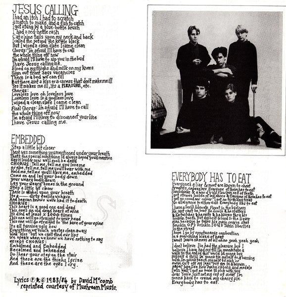 The Triffids – Raining Pleasure 12" vinyl record, image 4 of 6