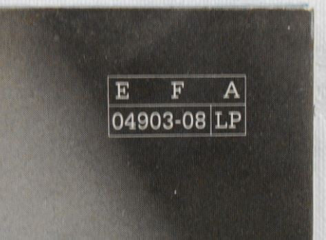 Sebadoh – Rocking The Forest / Sebadoh Vs. Helmet LP vinyl record, image 5 of 9