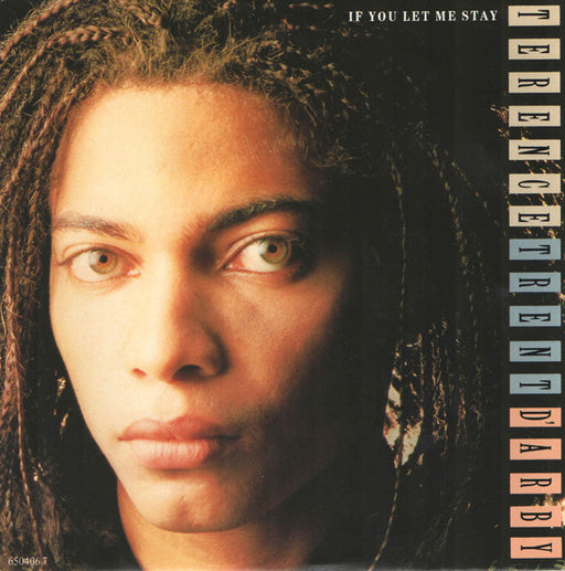 Terence Trent D'Arby – If You Let Me Stay 12" vinyl record, image 1 of 3
