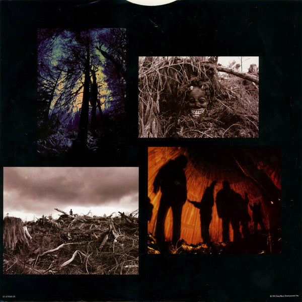 Pearl Jam – Vs. LP vinyl record, image 7 of 10