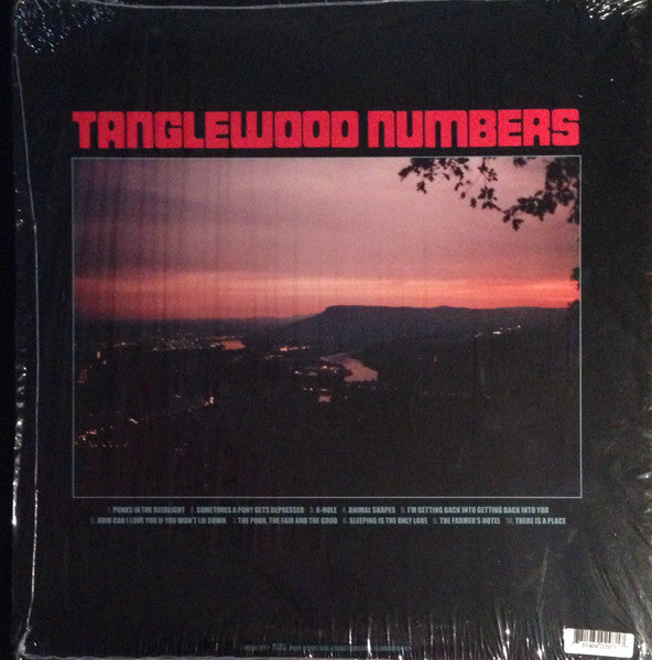 Silver Jews – Tanglewood Numbers LP vinyl record, image 2 of 5
