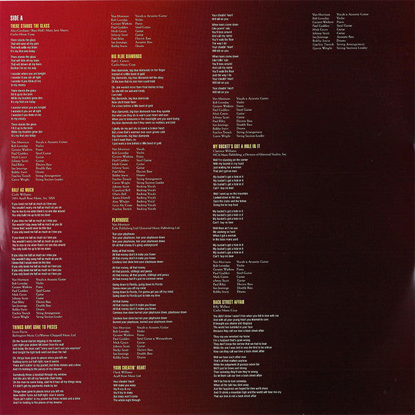 Van Morrison – Pay The Devil LP vinyl record, image 4 of 7