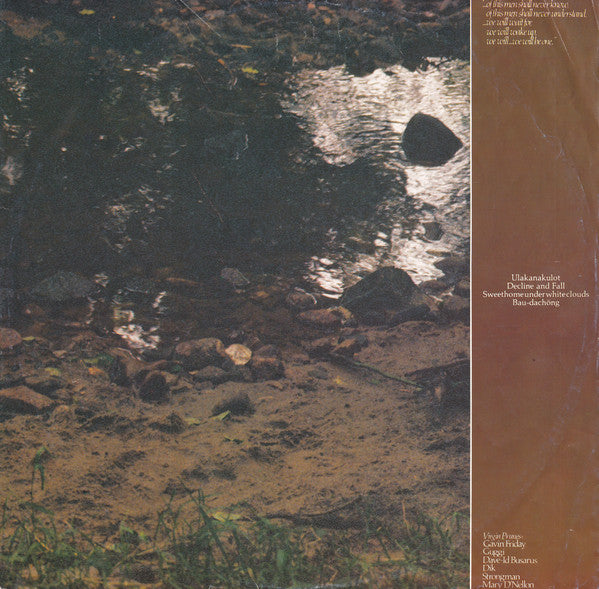 Virgin Prunes – ...If I Die, I Die LP vinyl record, image 5 of 6