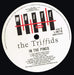 The Triffids – In The Pines LP vinyl record, image 6 of 6