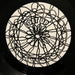 !!! – Take Ecstasy With Me / Get Up 12" vinyl record, image 4 of 4