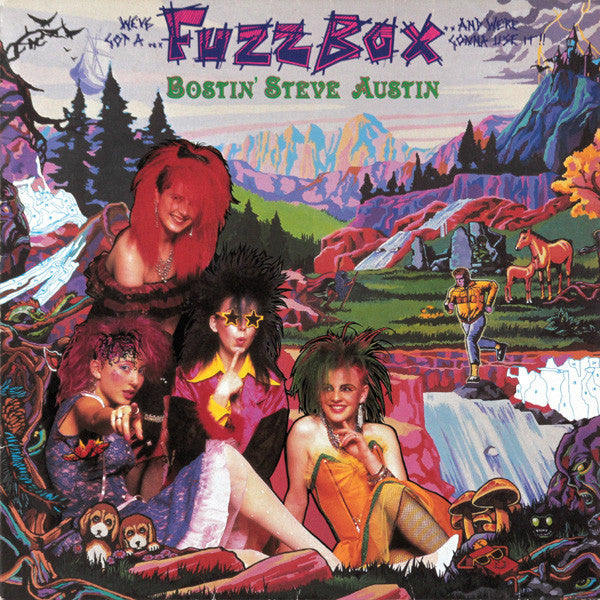 We've Got A Fuzzbox And We're Gonna Use It – Bostin' Steve Austin LP vinyl record, image 1 of 8