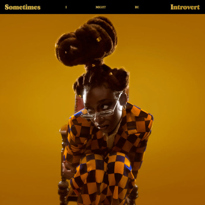 Little Simz – Sometimes I Might Be Introvert (2xLP) LP vinyl record