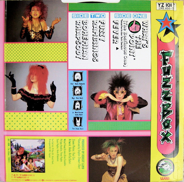 We've Got A Fuzzbox And We're Gonna Use It – What's The Point (The Bostinous One) 12" vinyl record, image 2 of 4