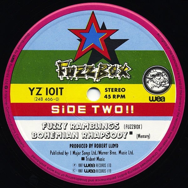 We've Got A Fuzzbox And We're Gonna Use It – What's The Point (The Bostinous One) 12" vinyl record, image 3 of 4