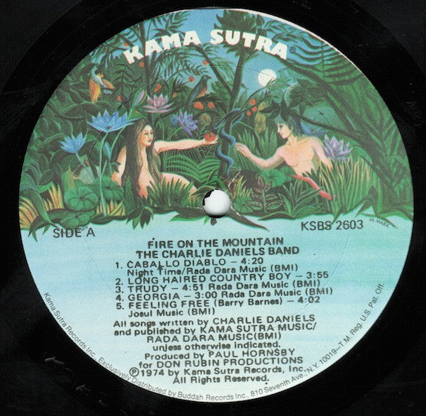 The Charlie Daniels Band – Fire On The Mountain LP vinyl record, image 6 of 10