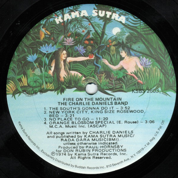 The Charlie Daniels Band – Fire On The Mountain LP vinyl record, image 7 of 10