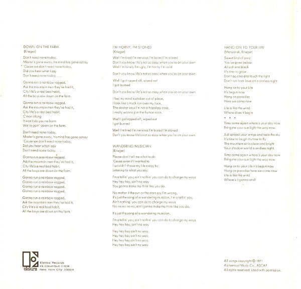 The Doors – Other Voices LP vinyl record, image 8 of 8
