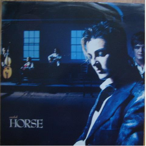 Horse – Careful