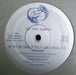 The Gray Bunnies – He Hit Me (And It Felt Like A Kiss) / Cigarette 12" vinyl record, image 1 of 2