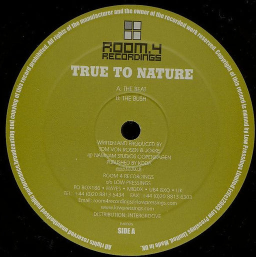 True To Nature – The Beat 12" vinyl record, image 1 of 2