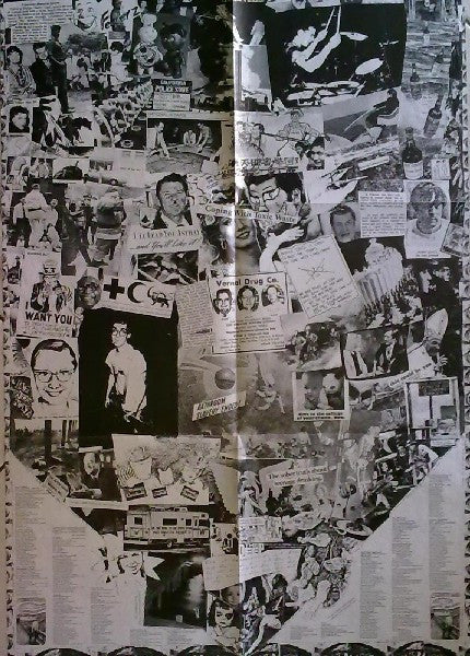 Dead Kennedys – Fresh Fruit For Rotting Vegetables LP vinyl record, image 5 of 6