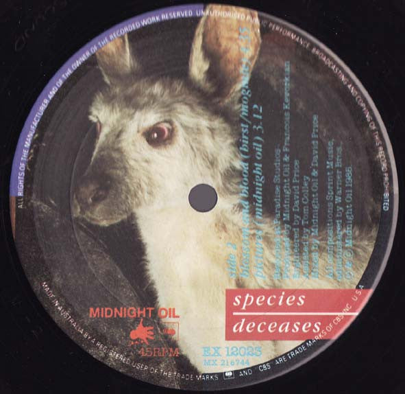 Midnight Oil – Species Deceases 12" vinyl record, image 4 of 8