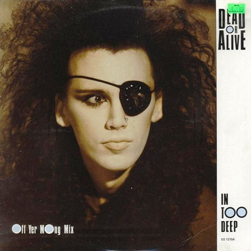 Dead Or Alive – In Too Deep (Off Yer Mong Mix) 12" vinyl record, image 1 of 4