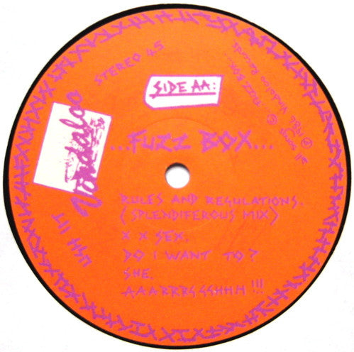 We've Got A Fuzzbox And We're Gonna Use It – Rules And Regulations 12" vinyl record, image 5 of 5