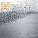 Four Tet – Everything Ecstatic Part 2 LP vinyl record, image 1 of 6