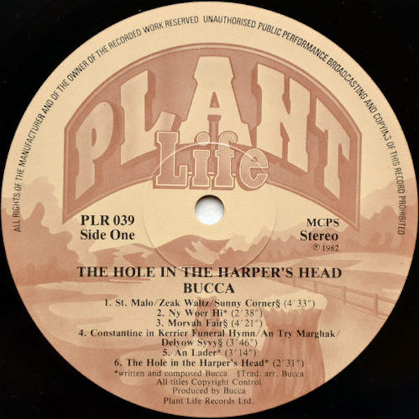 Bucca – The Hole In The Harper's Head (An Tol An Pedn An Telynor) LP vinyl record, image 4 of 4