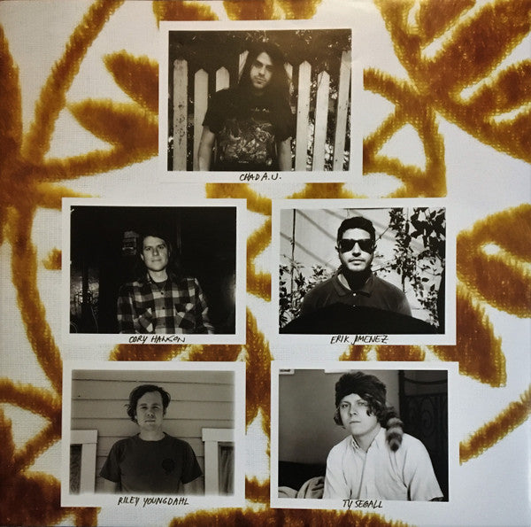 Meatbodies – Meatbodies LP vinyl record, image 5 of 10