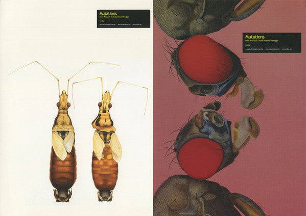 Dave Phillips, Cornelia Hesse-Honegger – Mutations LP vinyl record, image 6 of 6