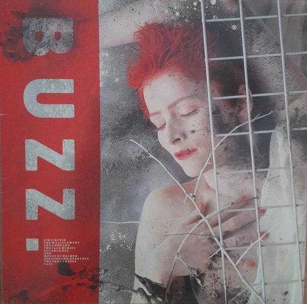 Various – Buzz LP vinyl record, image 1 of 3