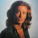 Bee Gees – Greatest (2xLP) LP vinyl record, image 8 of 10