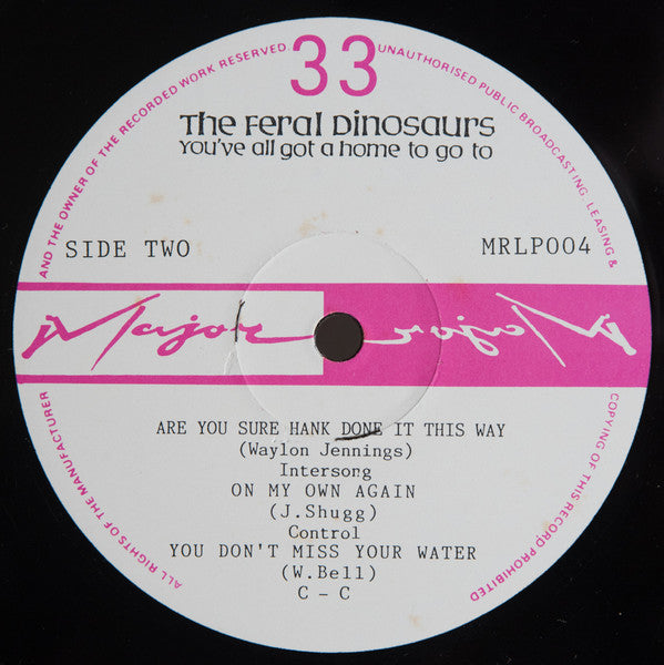 The Feral Dinosaurs – You've All Got A Home To Go To LP vinyl record, image 4 of 4