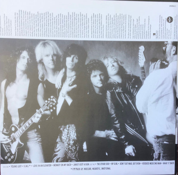 Aerosmith – Pump LP vinyl record, image 5 of 6