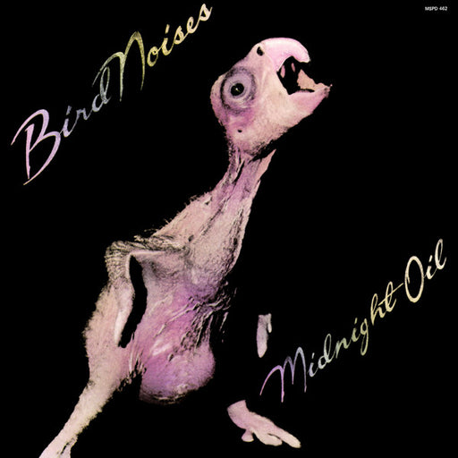 Midnight Oil – Bird Noises 12" vinyl record, image 1 of 4
