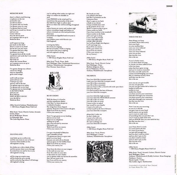 The Waterboys – This Is The Sea LP vinyl record, image 5 of 6