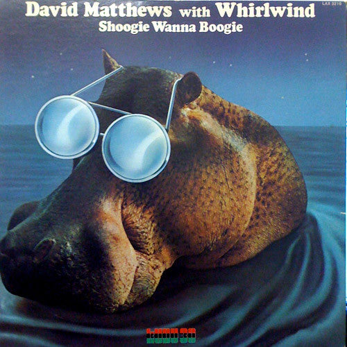 Dave Matthews, Whirlwind – Shoogie Wanna Boogie LP vinyl record, image 2 of 4