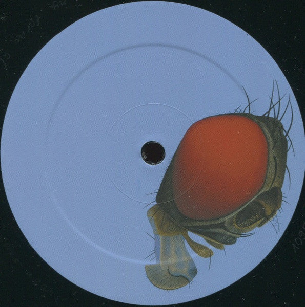 Dave Phillips, Cornelia Hesse-Honegger – Mutations LP vinyl record, image 4 of 6