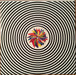 Flock Of Dimes – If You See Me, Say Yes LP vinyl record, image 5 of 8