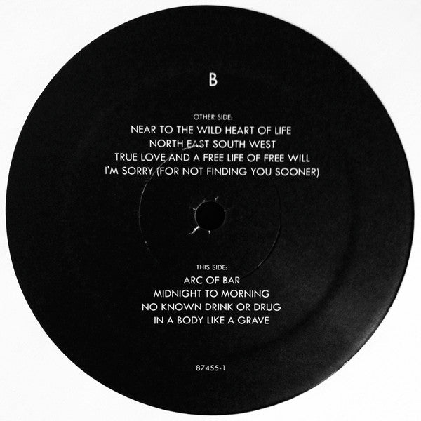 Japandroids – Near To The Wild Heart Of Life LP vinyl record, image 8 of 10