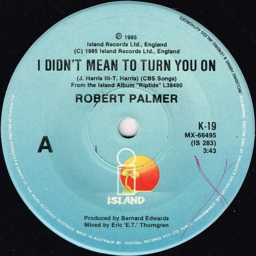 Robert Palmer – I Didn't Mean To Turn You On 7" vinyl record, image 1 of 2