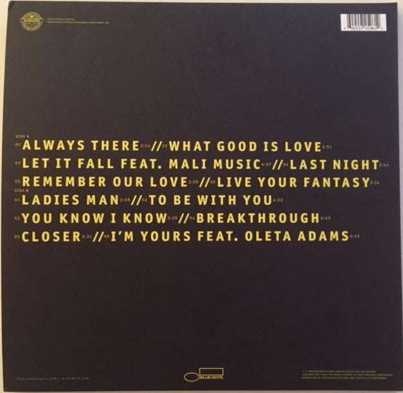 José James – Love In A Time Of Madness LP vinyl record, image 2 of 4